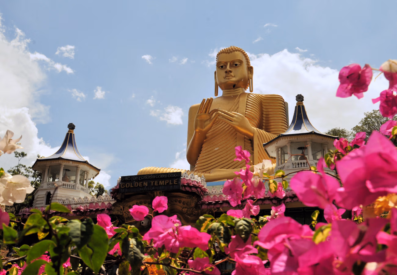 Davalia travel - Dambulla