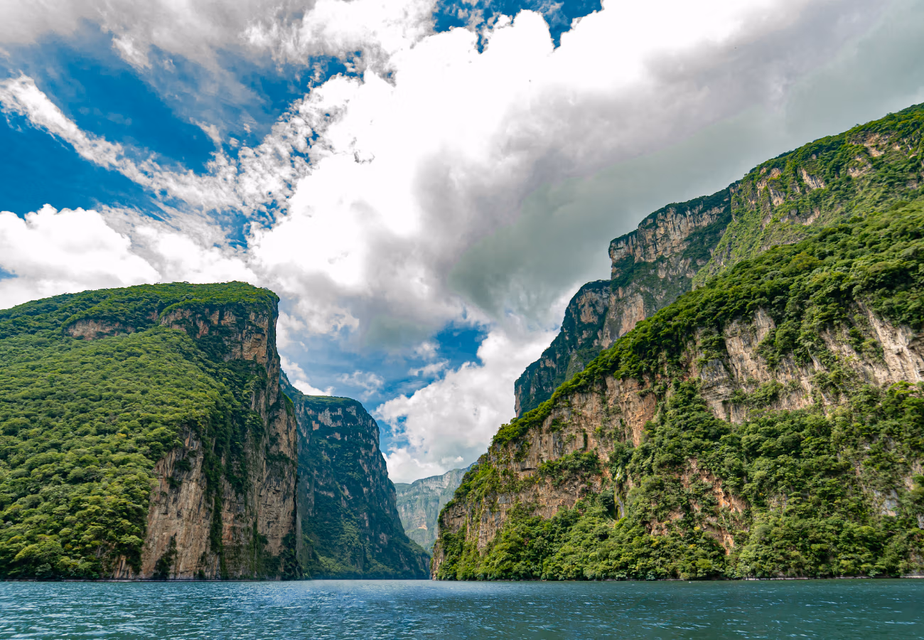 Davalia travel - canon del sumidero