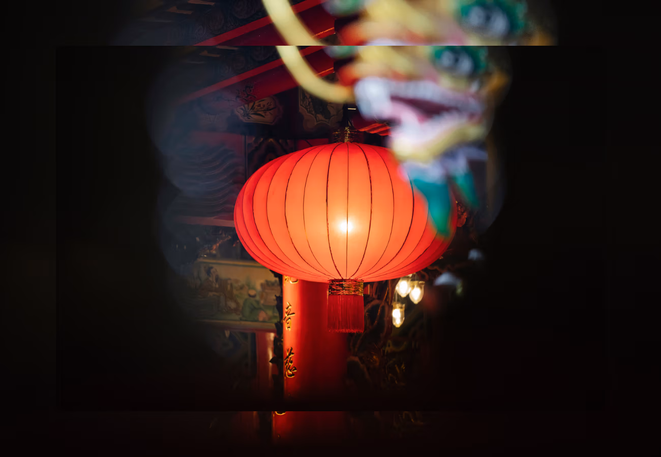Davalia travel - china 1