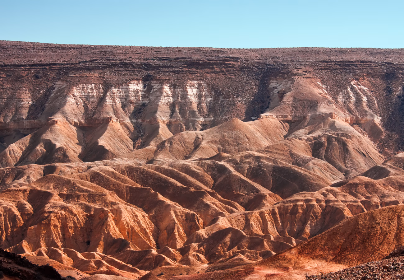 Davalia travel - negev