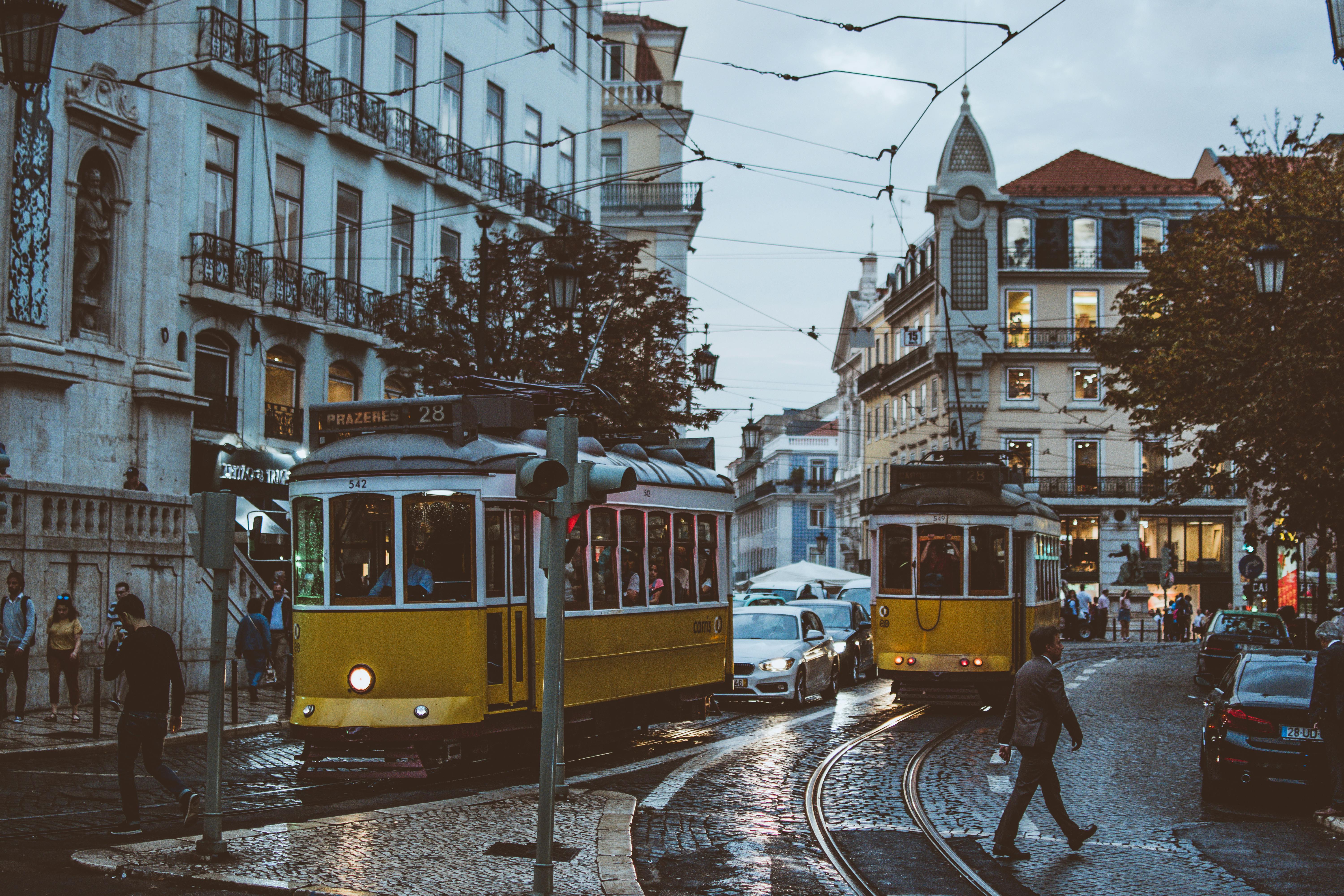 Davalia travel - pexels fotios photos 1534560