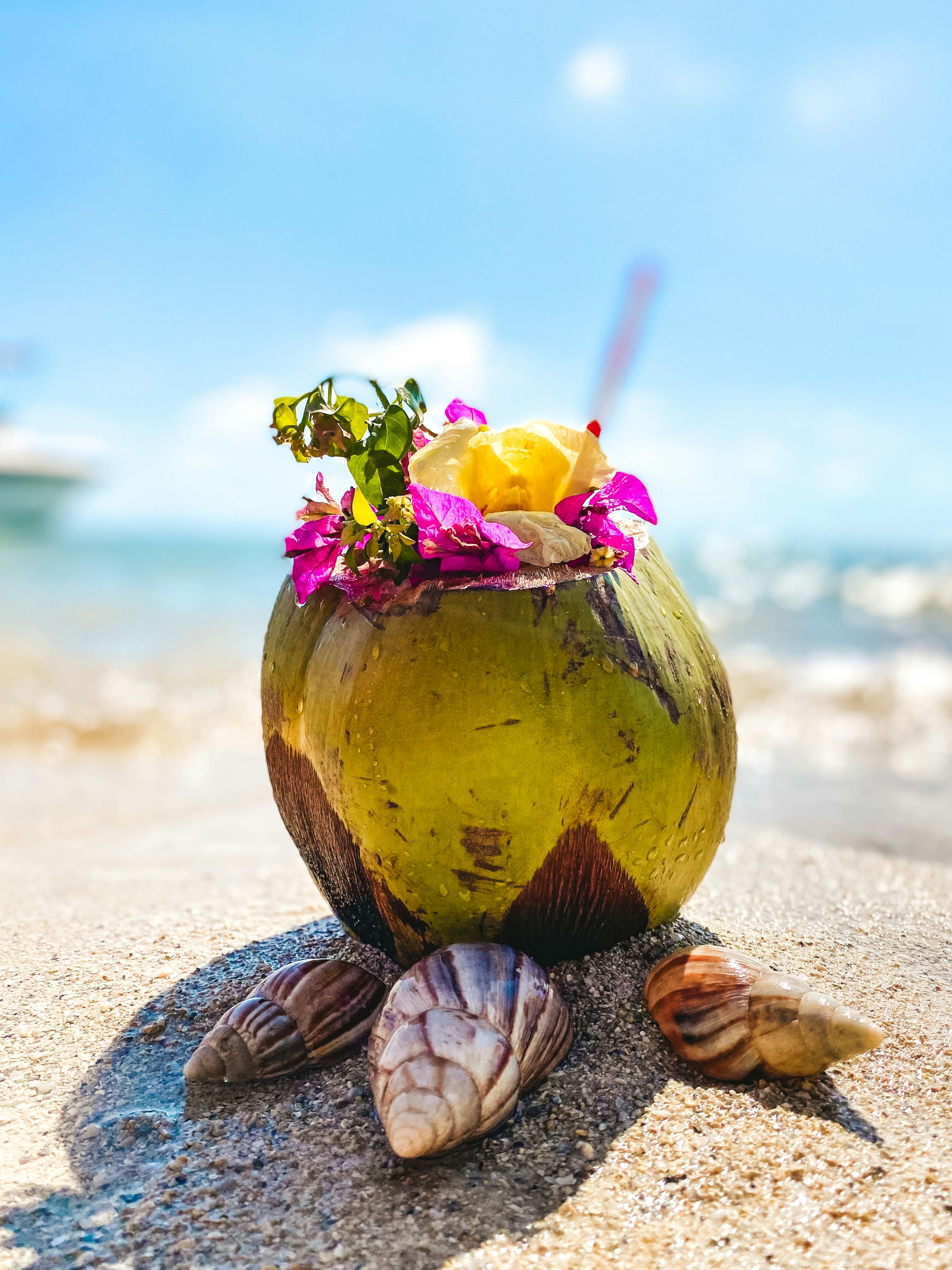 Davalia travel - pexels michal solowiej 701397343 18069588