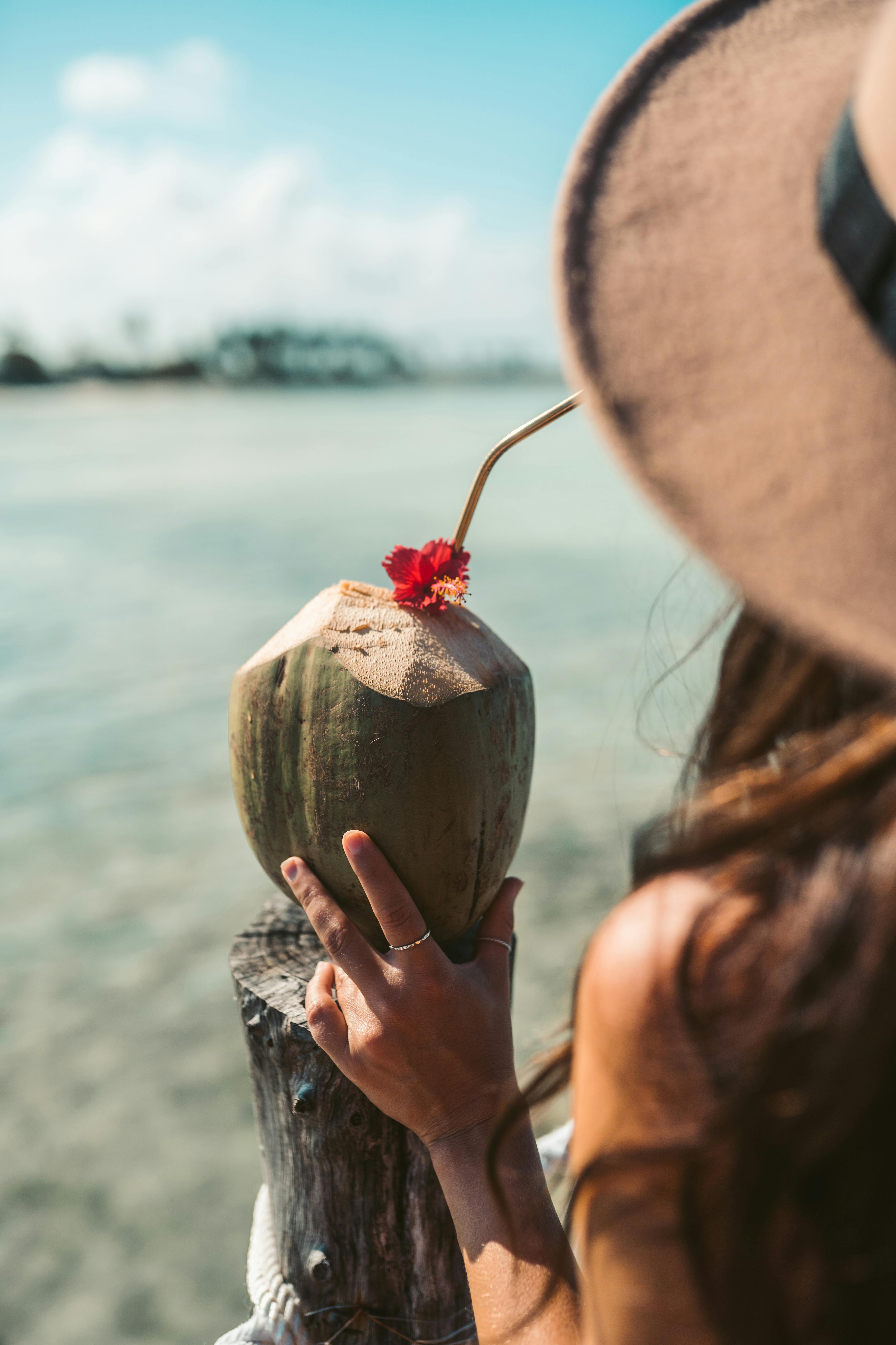 Davalia travel - pexels taryn elliott 5993600
