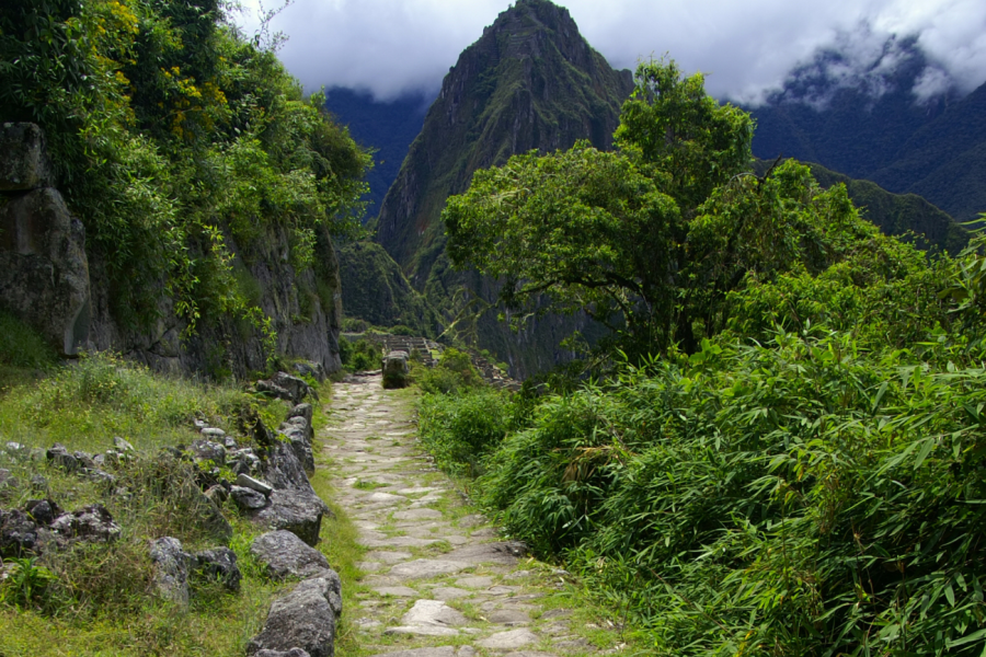 camino del inca