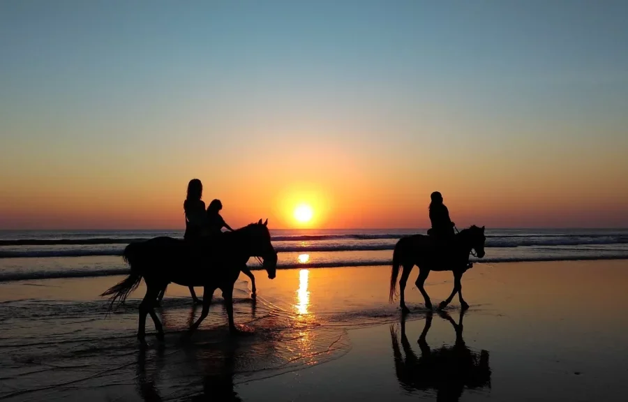 cavalos-comporta-1024x576