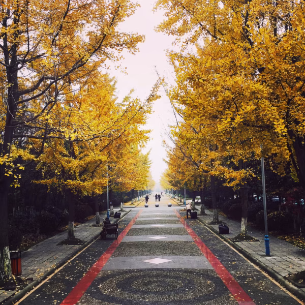 chengdu (1)