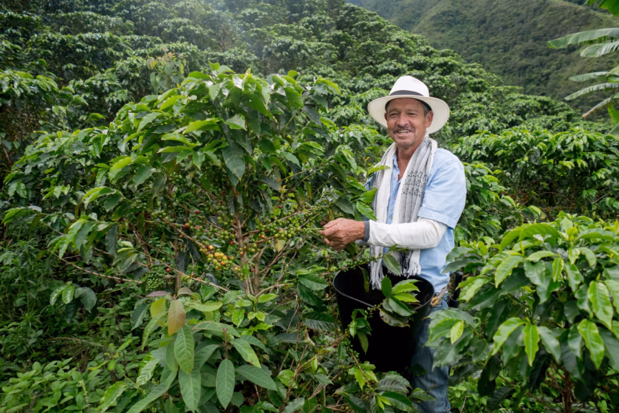 colombia (1)