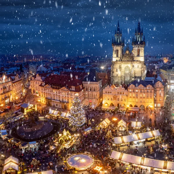 istock-1267907508.jpeg