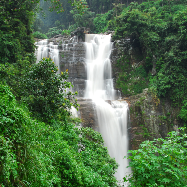 nuwara eliya