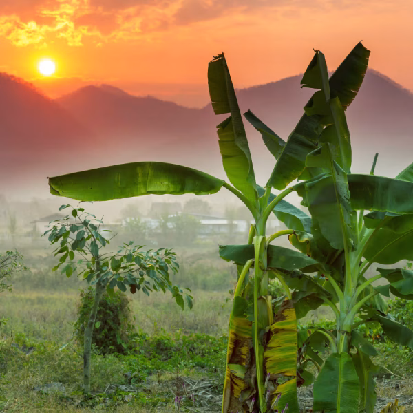 viajar a tailandia