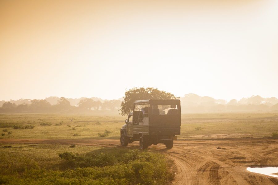 parque nacional de Yala