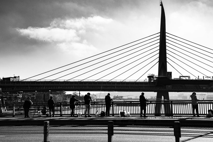 pexels-esra-erdogdu-1501957338-32265321