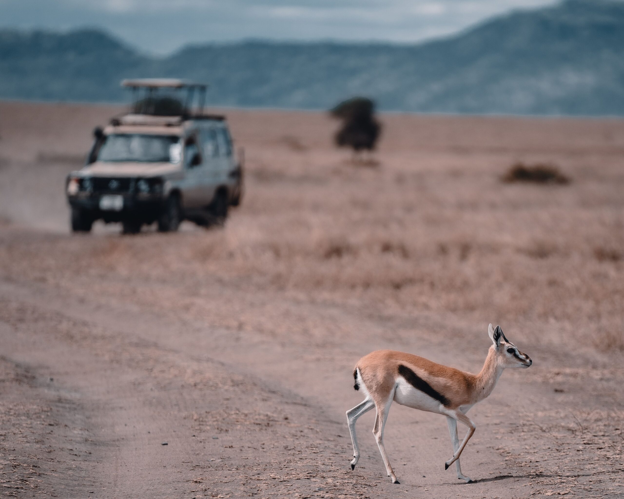 Tanzania — imagen editorial 2
