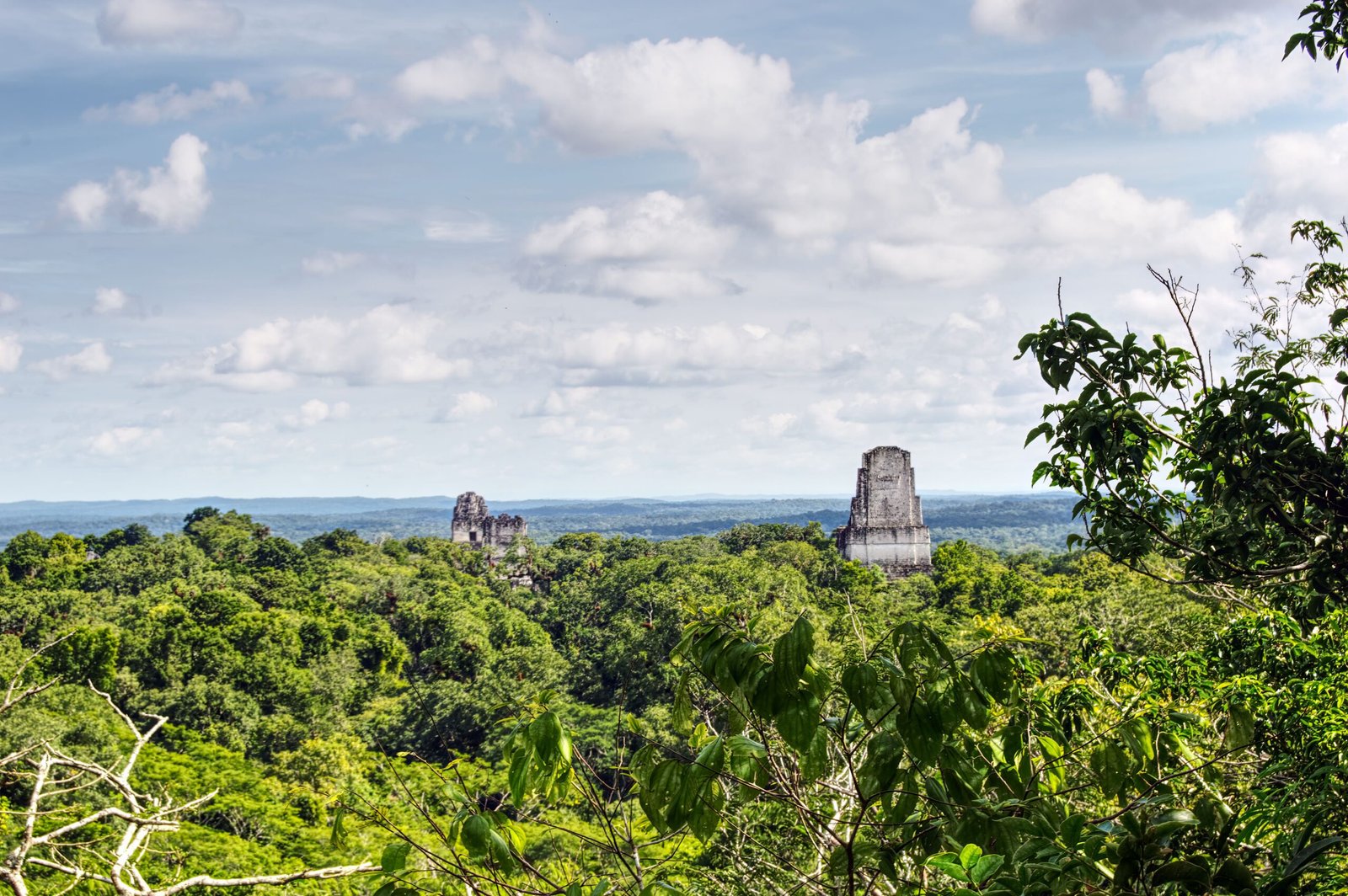 Tikal al amanecer