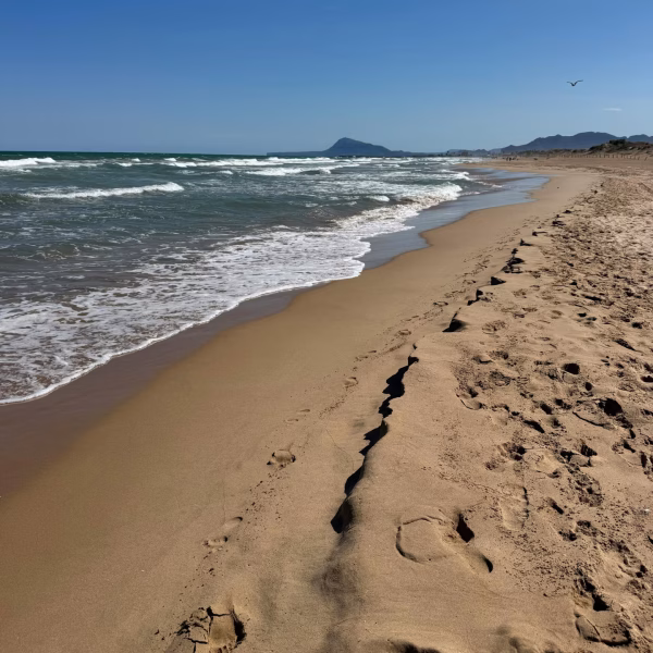 pexels-petra-nesti-1766376-34005028