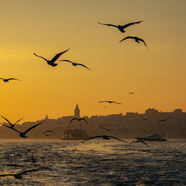 pexels-zeynep-sude-emek-193601188-32278055