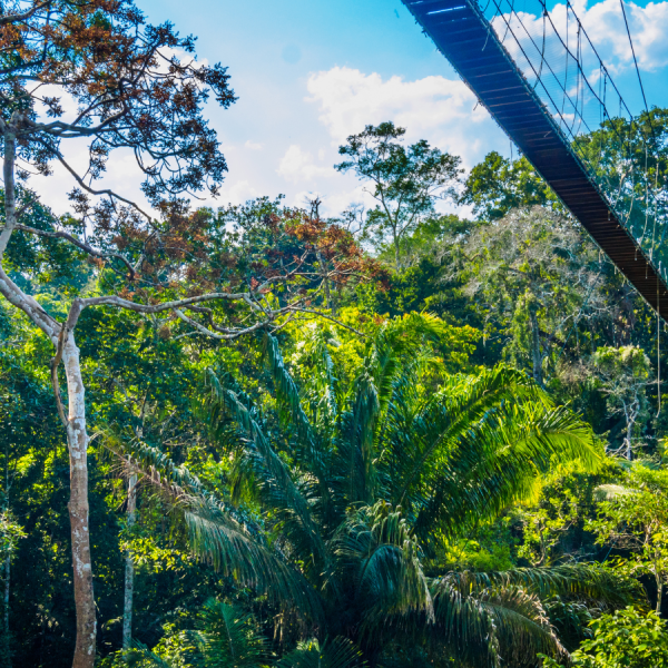 puerto maldonado (amazonas) (1)