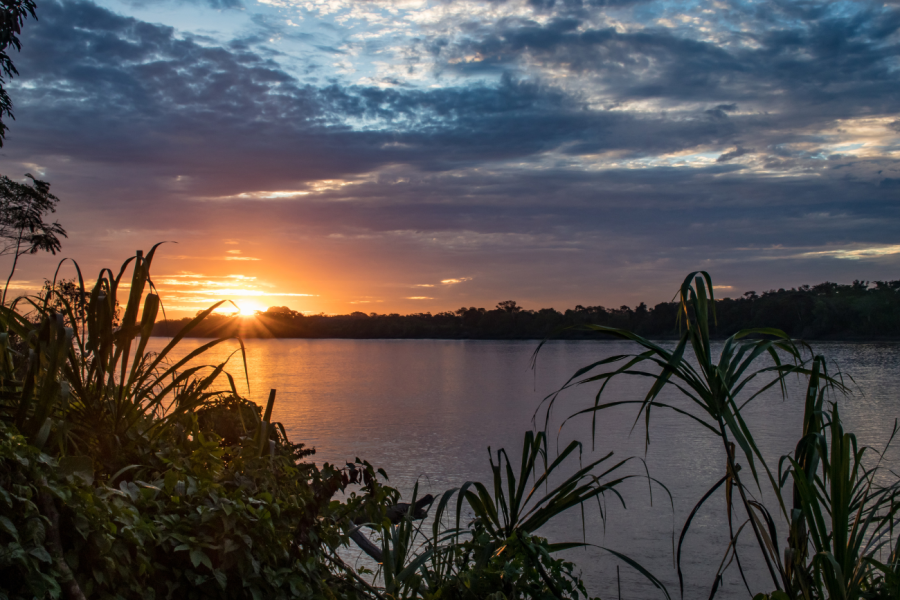 puerto maldonado (amazonas)