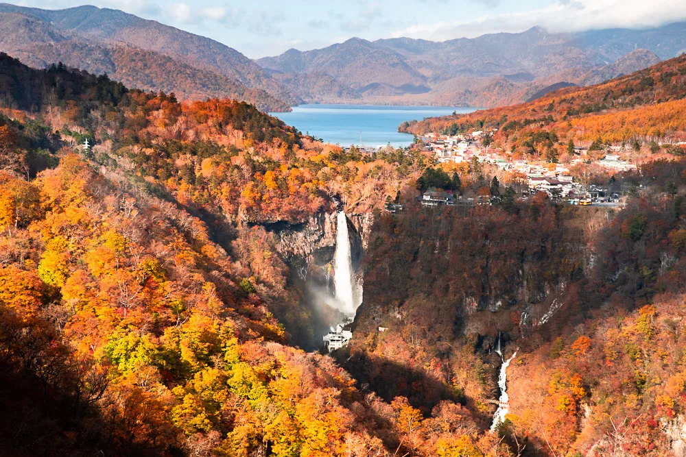 Nikko momiji Japón