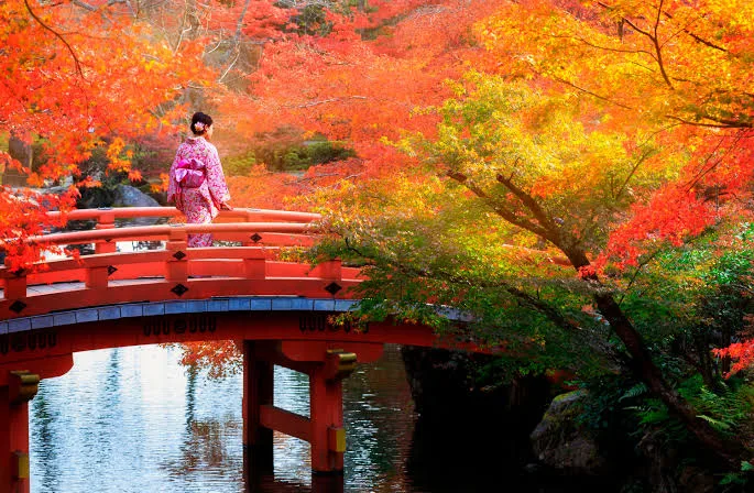 Hokkaido momiji Japón
