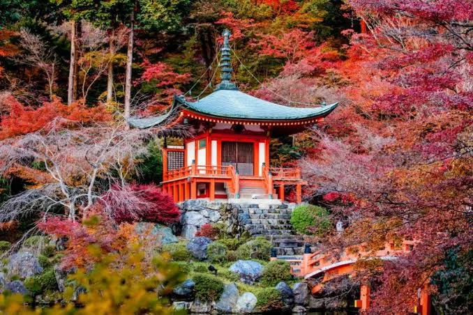 Hokkaido momiji Japón
