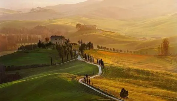 toscana viñedos