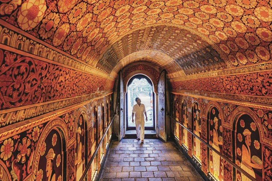 738bf8e9-1087-430e-bb28-e5313a4dbae2_source-aspect-ratio_default_0