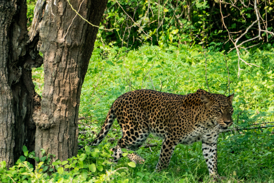 Copia-de-Diseno-sin-nombre-2024-02-12T182746.695