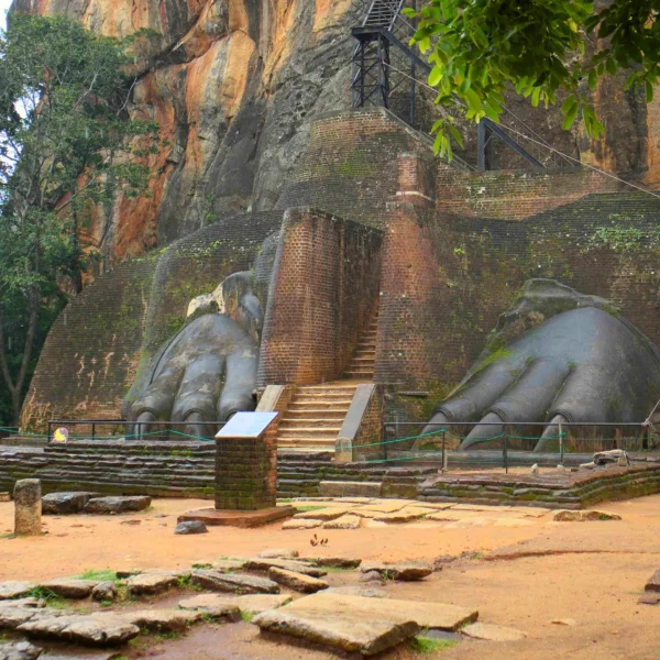 Garras-del-Leon-en-Sigiriya-scaled