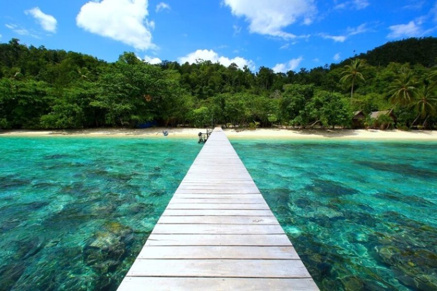 House-Reef-_2-1